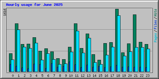 Hourly usage for June 2025