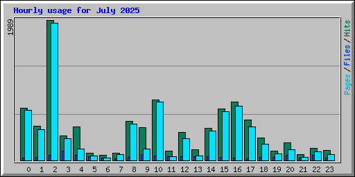Hourly usage for July 2025