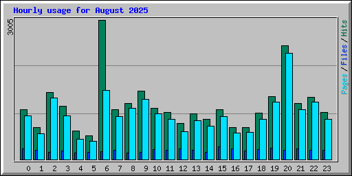 Hourly usage for August 2025