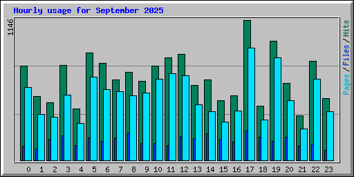 Hourly usage for September 2025