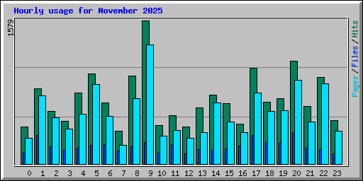 Hourly usage for November 2025