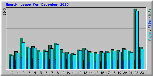 Hourly usage for December 2025